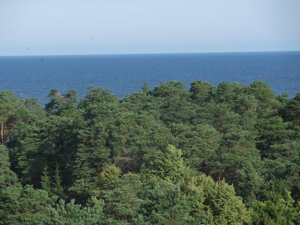 Resort - Rehabilitation Center Sanatorium Belorusija Jurmala Bagian luar foto